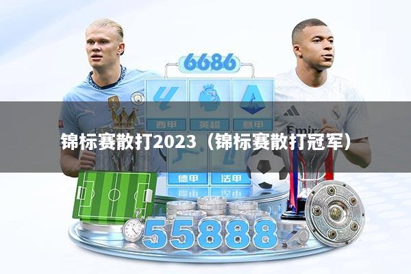 锦标赛散打2023(锦标赛散打冠军)