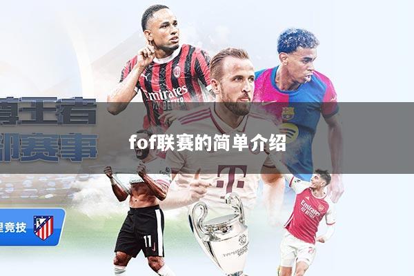 fof联赛的简单介绍