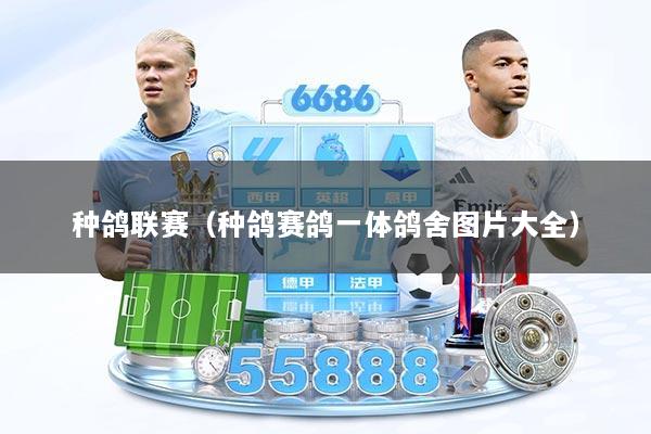 种鸽联赛（种鸽赛鸽一体鸽舍图片大全）